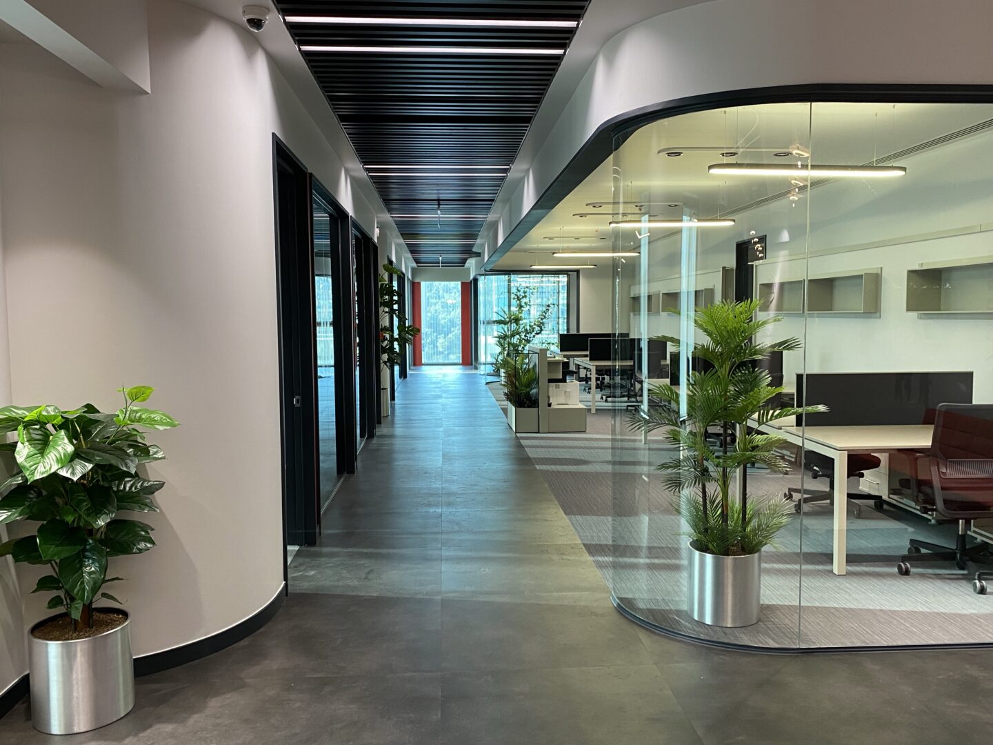 Vadi İstanbul Mutlu Makarna Ofis